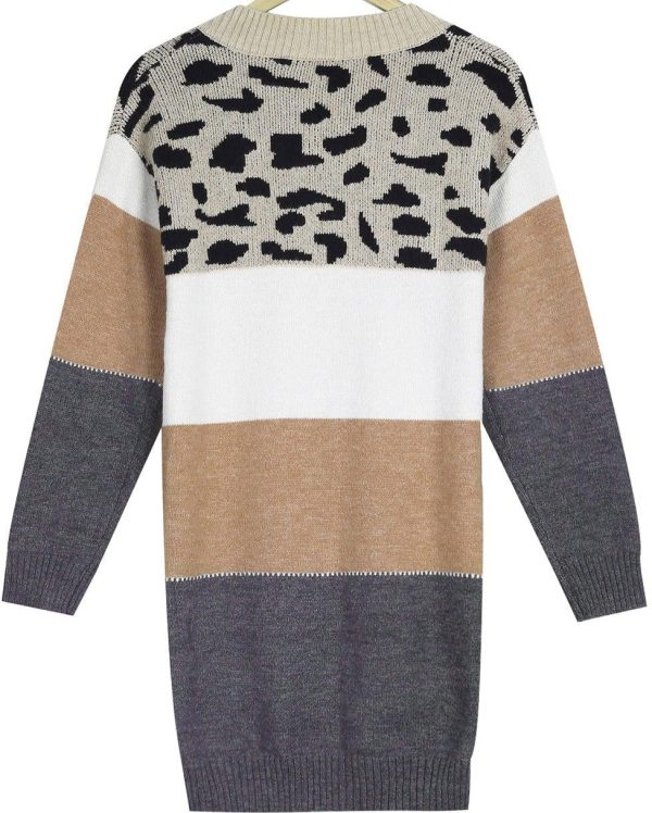 Cheetah Print Striped Mini Sweater Dress